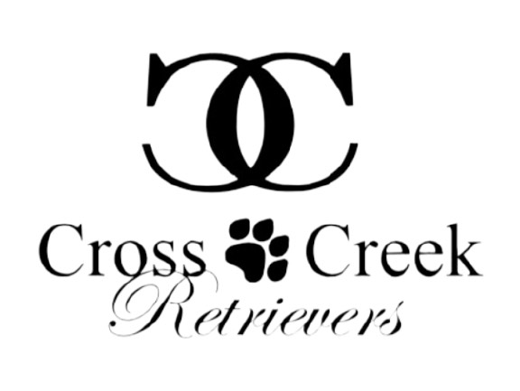 Cross Creek Retrievers
